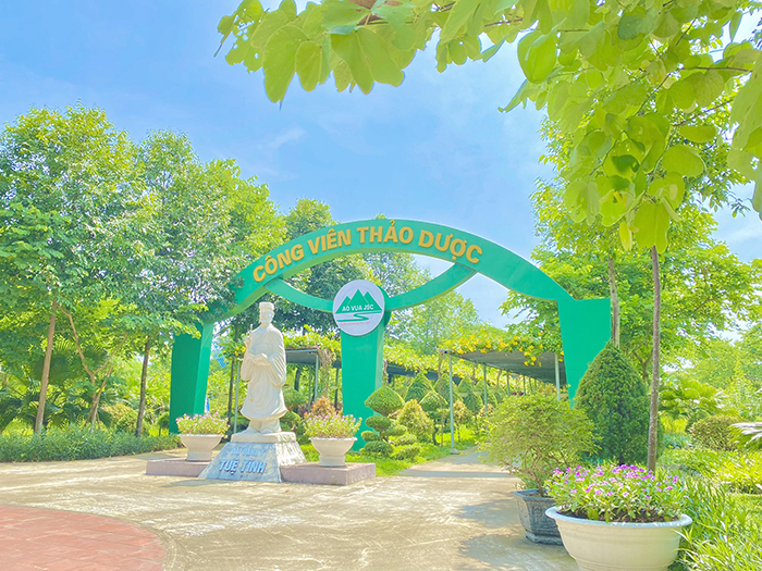 Công viên thảo dược trồng và lưu giữ hơn 500 loài thuốc quý